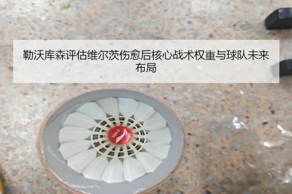 勒沃库森评估维尔茨伤愈后核心战术权重与球队未来布局