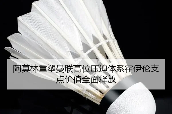 阿莫林重塑曼联高位压迫体系霍伊伦支点价值全面释放